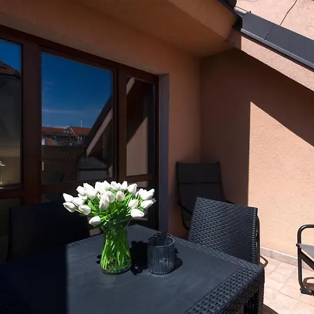 Bohemian Dreams Apartments And Suites By Dwellfort-2